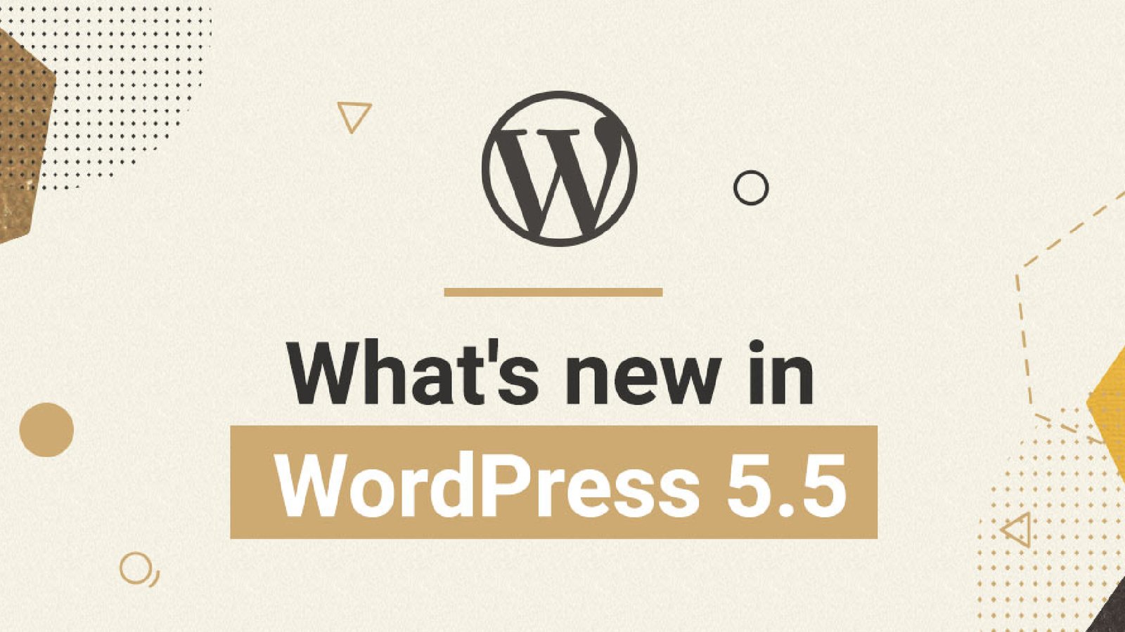 wordpress 5 5