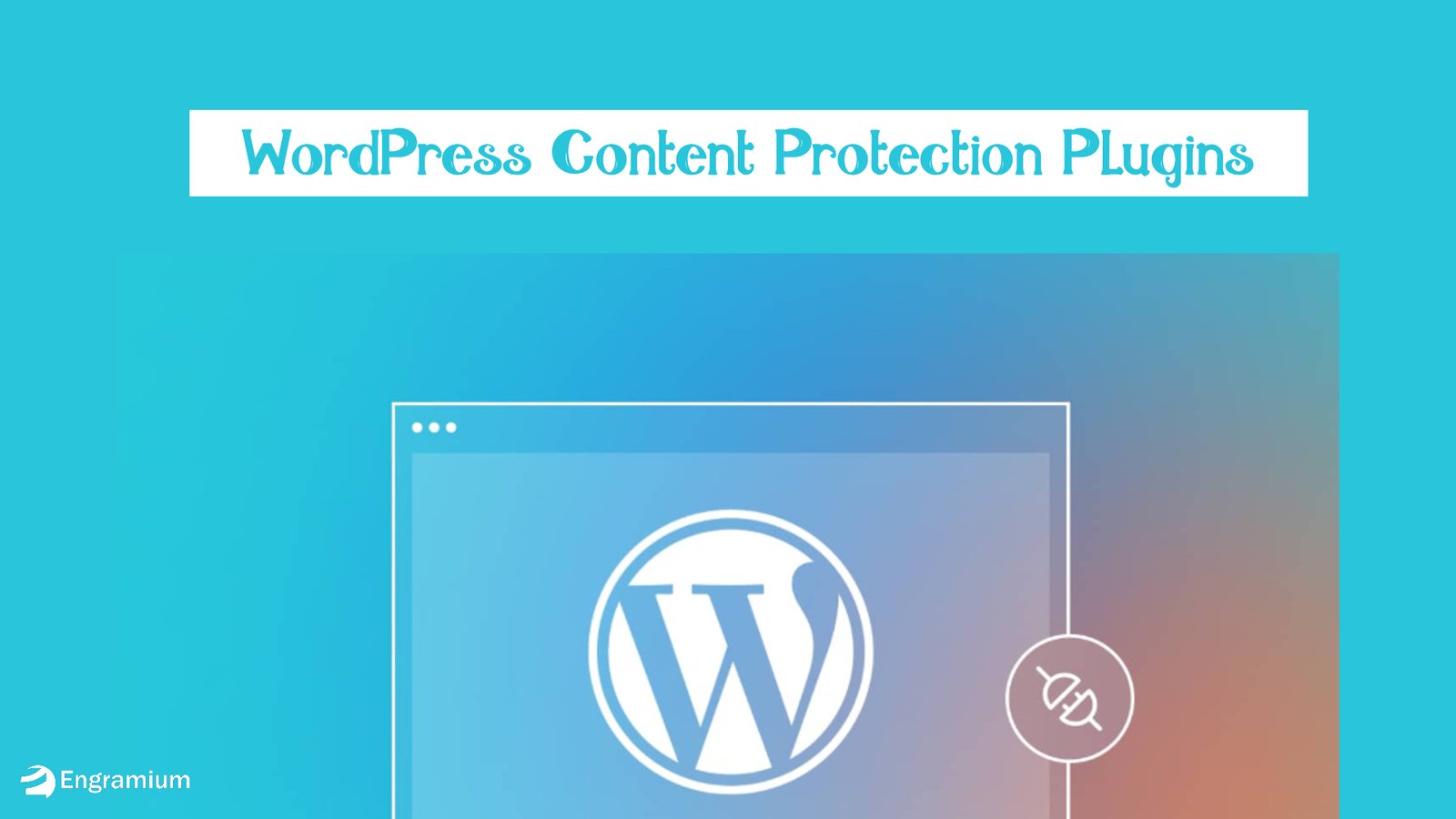 WordPress Content Protection Plugins